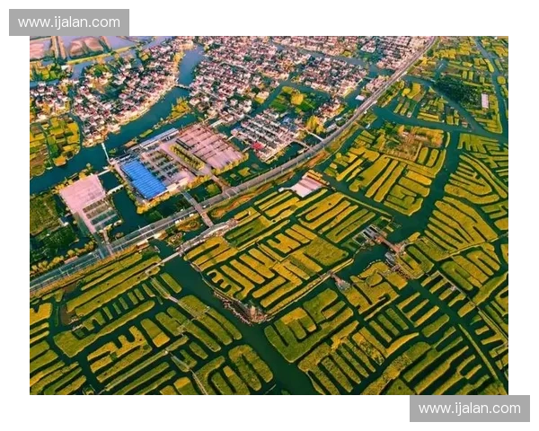 基于体育数据分析的预测模型研究与应用探索